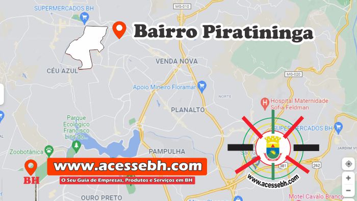 borracharia piratininga