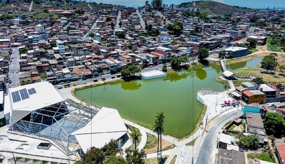 borracheiro morro alto