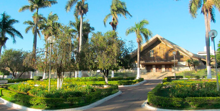 Borracharia vespasiano